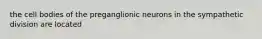 the cell bodies of the preganglionic neurons in the sympathetic division are located