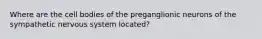 Where are the cell bodies of the preganglionic neurons of the sympathetic nervous system located?