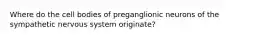 Where do the cell bodies of preganglionic neurons of the sympathetic nervous system originate?