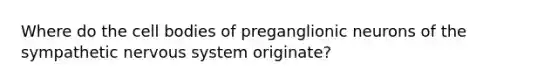 Where do the cell bodies of preganglionic neurons of the sympathetic nervous system originate?