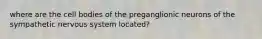 where are the cell bodies of the preganglionic neurons of the sympathetic nervous system located?