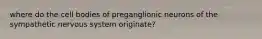 where do the cell bodies of preganglionic neurons of the sympathetic nervous system originate?