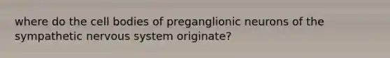 where do the cell bodies of preganglionic neurons of the sympathetic nervous system originate?