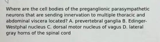 Where are the cell bodies of the preganglionic parasympathetic neurons that are sending innervation to multiple thoracic and abdominal viscera located? A. prevertebral ganglia B. Edinger-Westphal nucleus C. dorsal motor nucleus of vagus D. lateral gray horns of the spinal cord