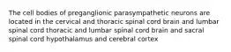 The cell bodies of preganglionic parasympathetic neurons are located in the cervical and thoracic spinal cord brain and lumbar spinal cord thoracic and lumbar spinal cord brain and sacral spinal cord hypothalamus and cerebral cortex