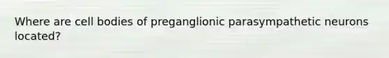 Where are cell bodies of preganglionic parasympathetic neurons located?