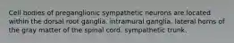 Cell bodies of preganglionic sympathetic neurons are located within the dorsal root ganglia. intramural ganglia. lateral horns of the gray matter of the spinal cord. sympathetic trunk.