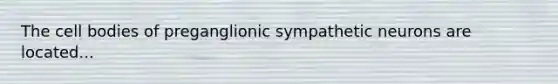 The cell bodies of preganglionic sympathetic neurons are located...