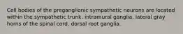 Cell bodies of the preganglionic sympathetic neurons are located within the sympathetic trunk. intramural ganglia. lateral gray horns of the spinal cord. dorsal root ganglia.