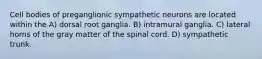 Cell bodies of preganglionic sympathetic neurons are located within the A) dorsal root ganglia. B) intramural ganglia. C) lateral horns of the gray matter of the spinal cord. D) sympathetic trunk.