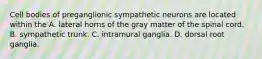 Cell bodies of preganglionic sympathetic neurons are located within the A. lateral horns of the gray matter of the spinal cord. B. sympathetic trunk. C. intramural ganglia. D. dorsal root ganglia.