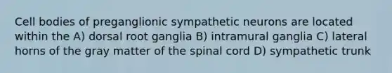 Cell bodies of preganglionic sympathetic neurons are located within the A) dorsal root ganglia B) intramural ganglia C) lateral horns of the gray matter of the spinal cord D) sympathetic trunk