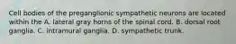 Cell bodies of the preganglionic sympathetic neurons are located within the A. lateral gray horns of the spinal cord. B. dorsal root ganglia. C. intramural ganglia. D. sympathetic trunk.