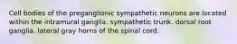 Cell bodies of the preganglionic sympathetic neurons are located within the intramural ganglia. sympathetic trunk. dorsal root ganglia. lateral gray horns of the spinal cord.