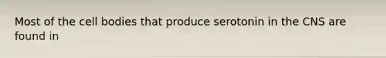 Most of the cell bodies that produce serotonin in the CNS are found in