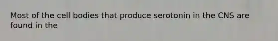 Most of the cell bodies that produce serotonin in the CNS are found in the