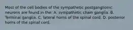 Most of the cell bodies of the sympathetic postganglionic neurons are found in the: A. sympathetic chain ganglia. B. Terminal ganglia. C. lateral horns of the spinal cord. D. posterior horns of the spinal cord.