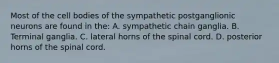 Most of the cell bodies of the sympathetic postganglionic neurons are found in the: A. sympathetic chain ganglia. B. Terminal ganglia. C. lateral horns of the spinal cord. D. posterior horns of the spinal cord.