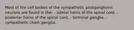 Most of the cell bodies of the sympathetic postganglionic neurons are found in the: - lateral horns of the spinal cord. - posterior horns of the spinal cord. - terminal ganglia. - sympathetic chain ganglia.