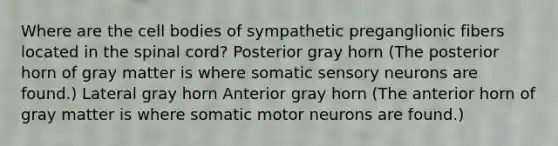 Where are the cell bodies of sympathetic preganglionic fibers located in the spinal cord? Posterior gray horn (The posterior horn of gray matter is where somatic sensory neurons are found.) Lateral gray horn Anterior gray horn (The anterior horn of gray matter is where somatic motor neurons are found.)