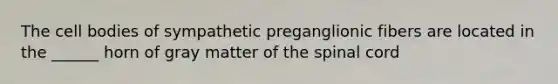 The cell bodies of sympathetic preganglionic fibers are located in the ______ horn of gray matter of the spinal cord