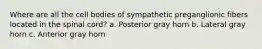 Where are all the cell bodies of sympathetic preganglionic fibers located in the spinal cord? a. Posterior gray horn b. Lateral gray horn c. Anterior gray horn