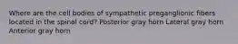 Where are the cell bodies of sympathetic preganglionic fibers located in the spinal cord? Posterior gray horn Lateral gray horn Anterior gray horn