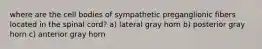 where are the cell bodies of sympathetic preganglionic fibers located in the spinal cord? a) lateral gray horn b) posterior gray horn c) anterior gray horn