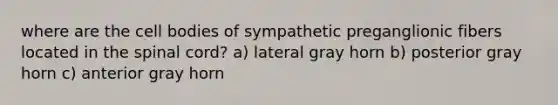 where are the cell bodies of sympathetic preganglionic fibers located in the spinal cord? a) lateral gray horn b) posterior gray horn c) anterior gray horn