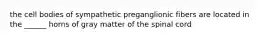 the cell bodies of sympathetic preganglionic fibers are located in the ______ horns of gray matter of the spinal cord
