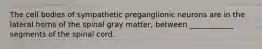 The cell bodies of sympathetic preganglionic neurons are in the lateral horns of the spinal gray matter, between ____________ segments of the spinal cord.
