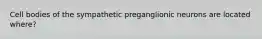 Cell bodies of the sympathetic preganglionic neurons are located where?