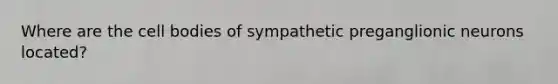 Where are the cell bodies of sympathetic preganglionic neurons located?