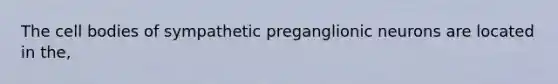 The cell bodies of sympathetic preganglionic neurons are located in the,