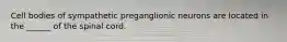 Cell bodies of sympathetic preganglionic neurons are located in the ______ of the spinal cord.