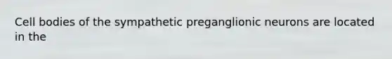 Cell bodies of the sympathetic preganglionic neurons are located in the