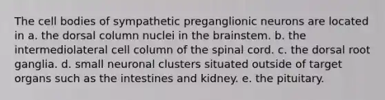 The cell bodies of sympathetic preganglionic neurons are located in a. the dorsal column nuclei in the brainstem. b. the intermediolateral cell column of the spinal cord. c. the dorsal root ganglia. d. small neuronal clusters situated outside of target organs such as the intestines and kidney. e. the pituitary.