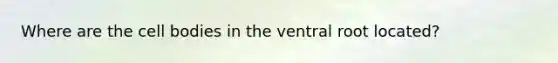 Where are the cell bodies in the ventral root located?