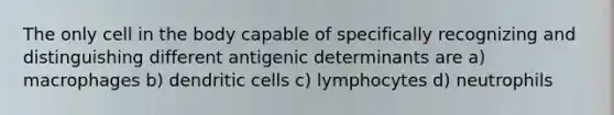 The only cell in the body capable of specifically recognizing and distinguishing different antigenic determinants are a) macrophages b) dendritic cells c) lymphocytes d) neutrophils