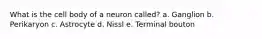 What is the cell body of a neuron called? a. Ganglion b. Perikaryon c. Astrocyte d. Nissl e. Terminal bouton