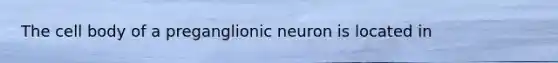 The cell body of a preganglionic neuron is located in