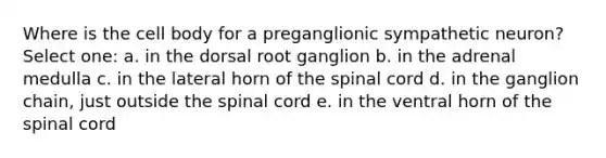 Where is the cell body for a preganglionic sympathetic neuron? Select one: a. in the dorsal root ganglion b. in the adrenal medulla c. in the lateral horn of the spinal cord d. in the ganglion chain, just outside the spinal cord e. in the ventral horn of the spinal cord