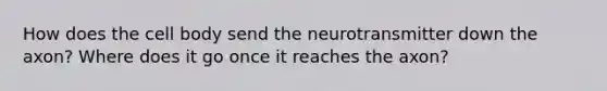 How does the cell body send the neurotransmitter down the axon? Where does it go once it reaches the axon?