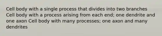 Cell body with a single process that divides into two branches Cell body with a process arising from each end; one dendrite and one axon Cell body with many processes; one axon and many dendrites