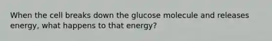 When the cell breaks down the glucose molecule and releases energy, what happens to that energy?