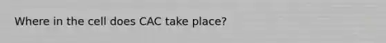 Where in the cell does CAC take place?
