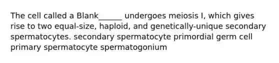 The cell called a Blank______ undergoes meiosis I, which gives rise to two equal-size, haploid, and genetically-unique secondary spermatocytes. secondary spermatocyte primordial germ cell primary spermatocyte spermatogonium