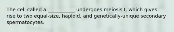 The cell called a ___________ undergoes meiosis I, which gives rise to two equal-size, haploid, and genetically-unique secondary spermatocytes.