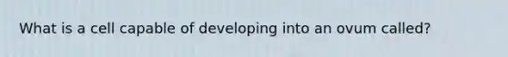 What is a cell capable of developing into an ovum called?