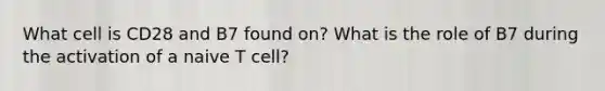 What cell is CD28 and B7 found on? What is the role of B7 during the activation of a naive T cell?